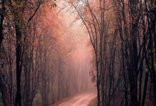 “江苏省全民健身服务:培训社会体育指导员,拓展服务范围”.