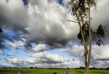 [德甲]第26轮：霍芬海姆VS斯图加特.