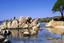 NBA | 勇士大胜马刺42分送对手四连败.